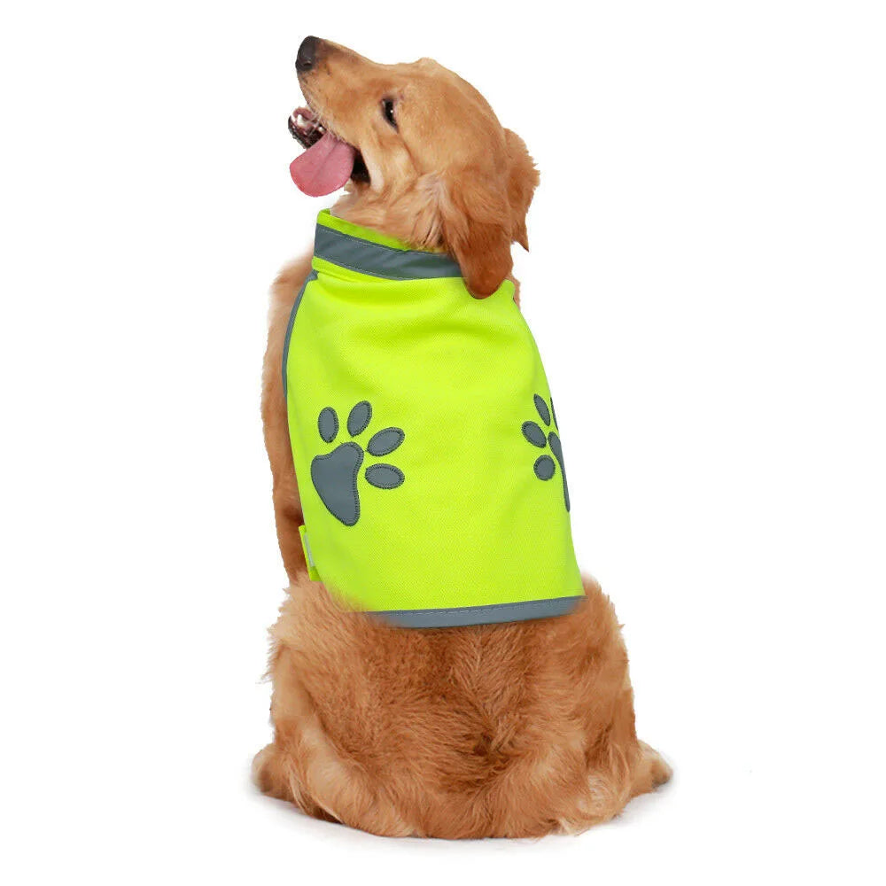 🐾 Reflective Dog Safety Vest – Fényvisszaverő, biztonságos kutyamellény