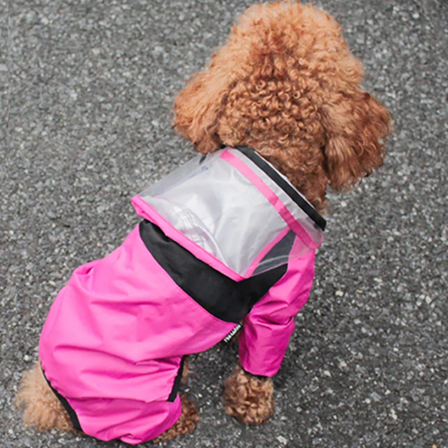 🐾 Fashion Pet Raincoat – Divatos és vízálló kutya esőkabát