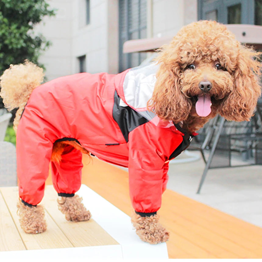🐾 Fashion Pet Raincoat – Divatos és vízálló kutya esőkabát
