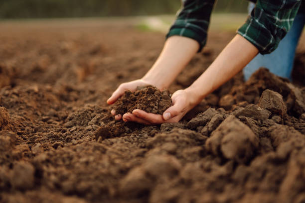 Természetes módszerek a termékeny talajért – Bio talajjavítás és védelem egyszerűen