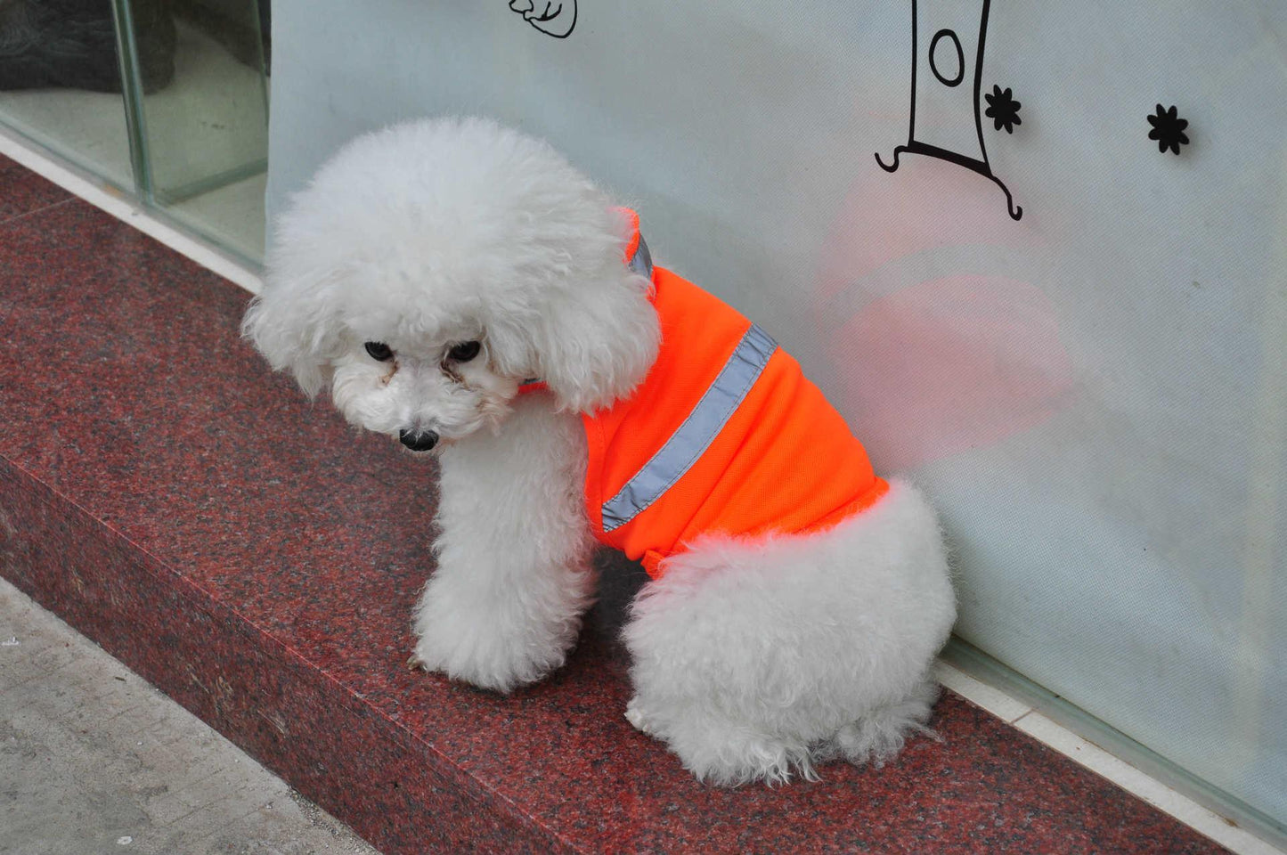 Reflective Safety Vest For Dogs – Fényvisszaverő biztonsági mellény kutyáknak