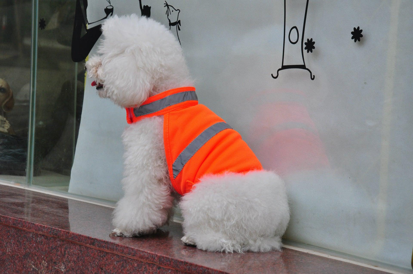 Reflective Safety Vest For Dogs – Fényvisszaverő biztonsági mellény kutyáknak
