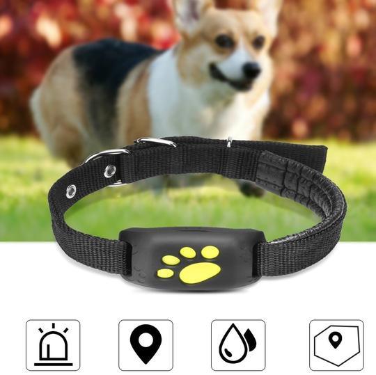 Pet TrackMaster: The Ultimate GPS Pet Tracker Okos nyomkövető, hogy kedvenced mindig biztonságban legyen 🐾